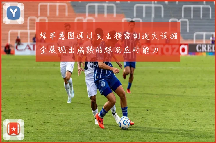 绿军意图通过夹击穆雷制造失误掘金展现出成熟的球场应对能力